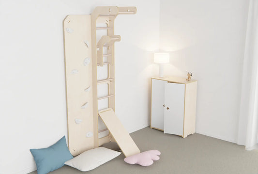 Birch Ply Indoor Gym And Rock Climbing Wall